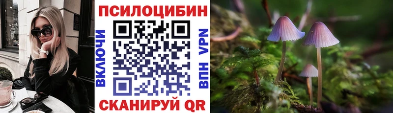 Купить закладки  Макарьев  Галлюциногенные грибы мухоморы 